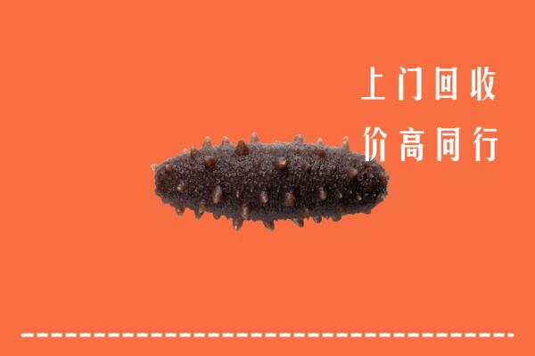 昭化区高价回收海参