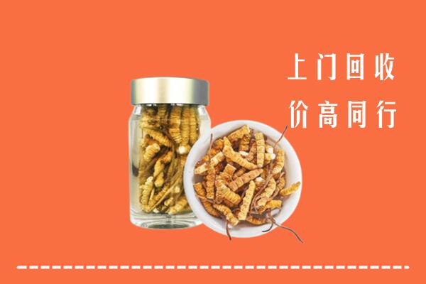 昭化区回收冬虫夏草